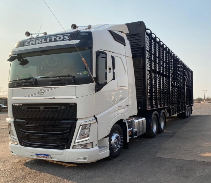 Imagem do WhatsApp de 2024-12-11 à(s) 12.19.20_58f4c94a.jpg